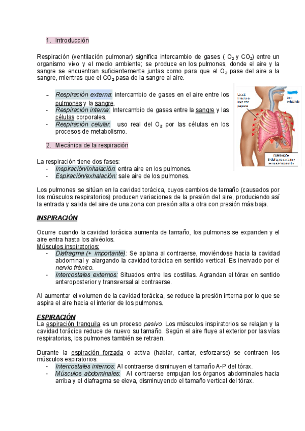 Miniatura del documento tema-3-la-respiracion.pdf