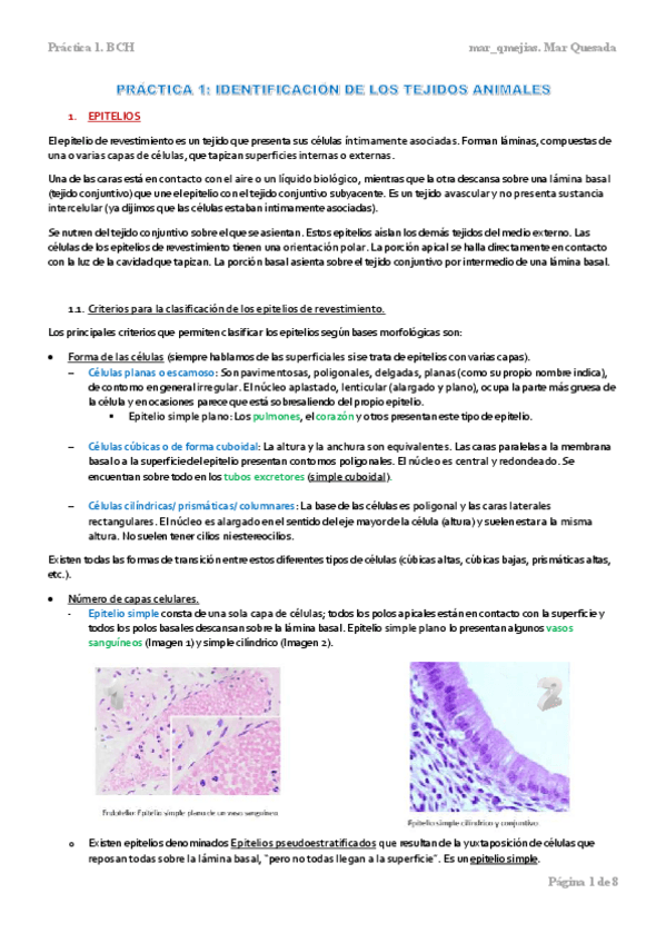 Miniatura del documento PRACTICA-1.pdf