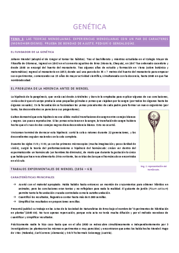 Miniatura del documento GENETICA.pdf