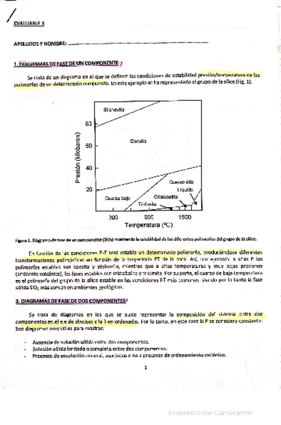 Miniatura del documento Ejercicios-diagrama-de-fases.pdf