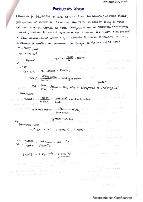 Miniatura del documento PROBLEMES-REDOX-QUIMICA-I.pdf
