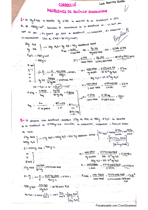Miniatura del documento PROBLEMES-DISSOLUCIONS-QUIMICA-I.pdf