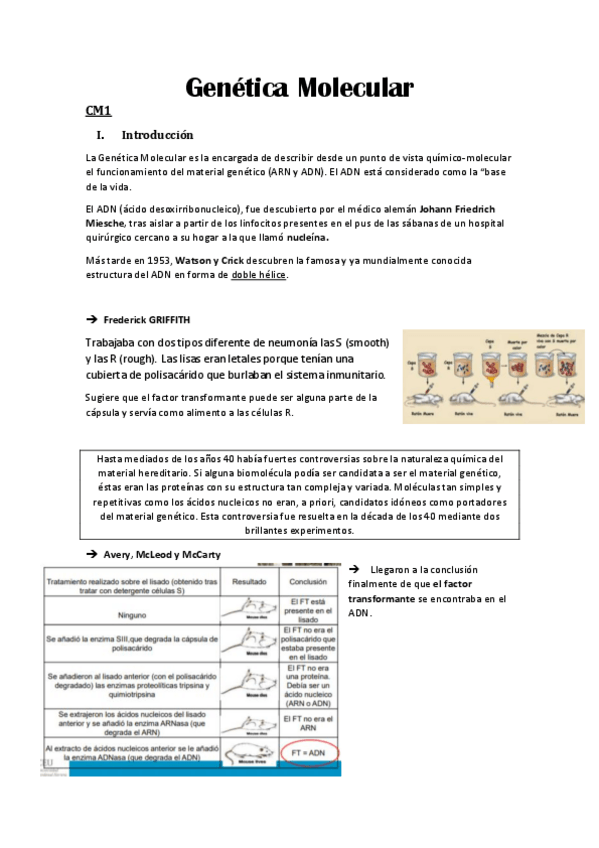 Miniatura del documento Genetica-Molecular.pdf