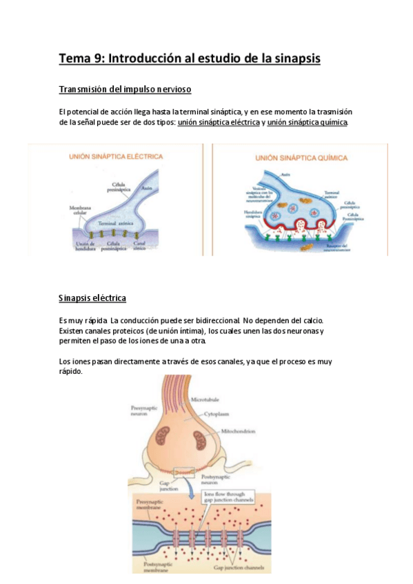 Miniatura del documento Tema 9.pdf
