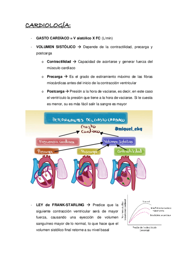 Miniatura del documento CARDIOLOGIA.pdf