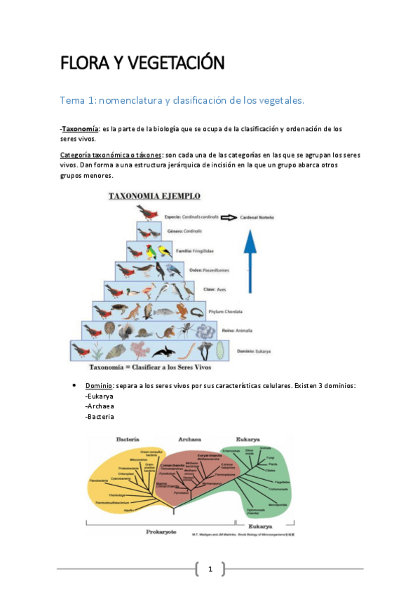 Miniatura del documento FLORA-Y-VEGETACION.pdf
