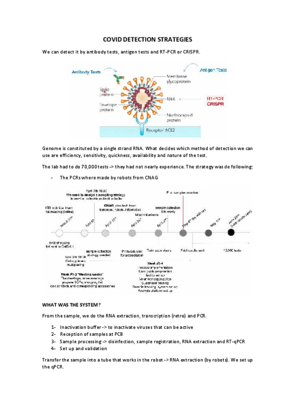 Miniatura del documento COVID-DETECTION-STRATEGIES-seminar.pdf