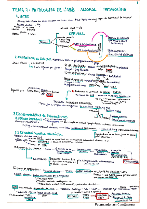 Miniatura del documento TEMA-7-REGU.pdf