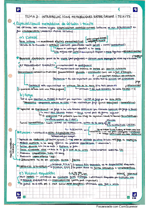 Miniatura del documento TEMA-2-REGU.pdf