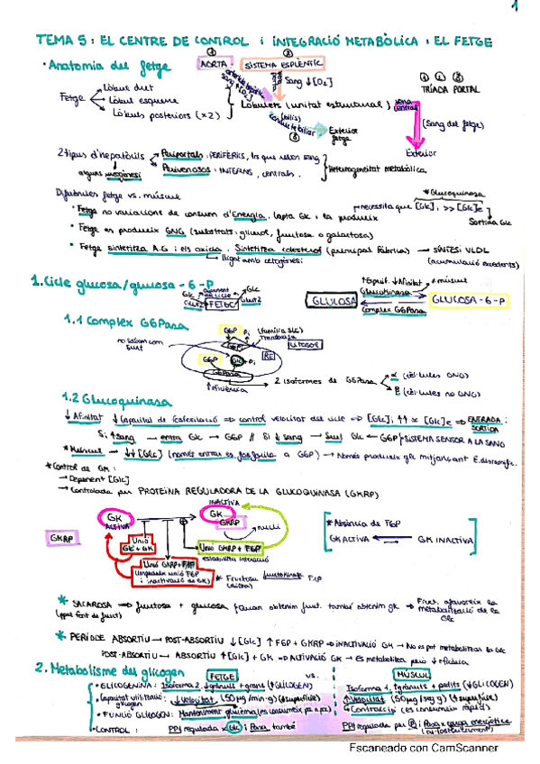 Miniatura del documento TEMA-5-REGU.pdf