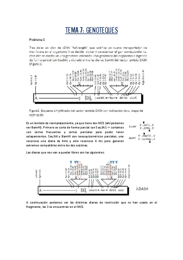 Miniatura del documento problemas-T7.pdf