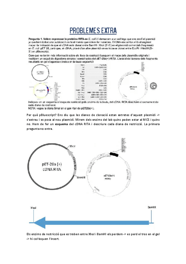 Miniatura del documento PROBLEMES-EXTRA-ENGINYERIA-GENETICA.pdf