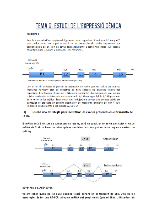 Miniatura del documento problemes-t9.pdf
