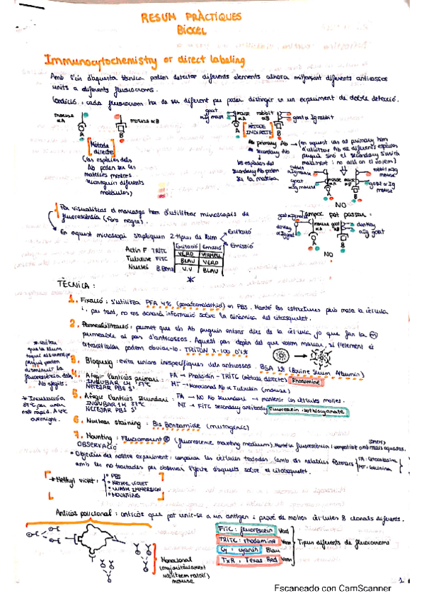 Miniatura del documento RESUM-PRACTIQUES-BIOCEL.pdf