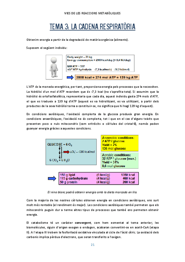 Miniatura del documento Tema-3.pdf