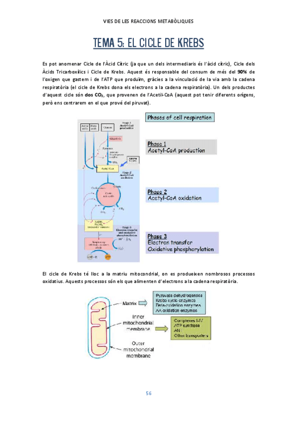Miniatura del documento Tema-5.pdf