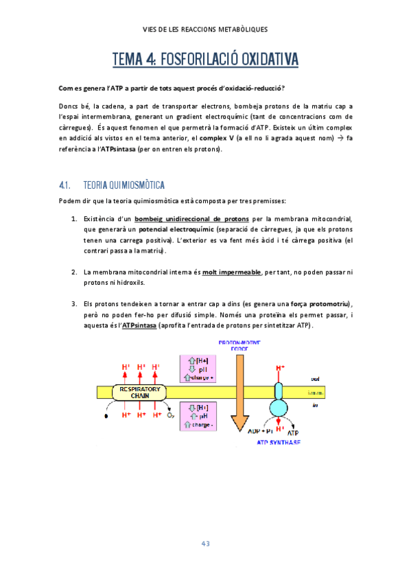 Miniatura del documento Tema-4.pdf