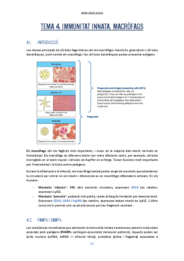 Miniatura del documento Tema-4.pdf