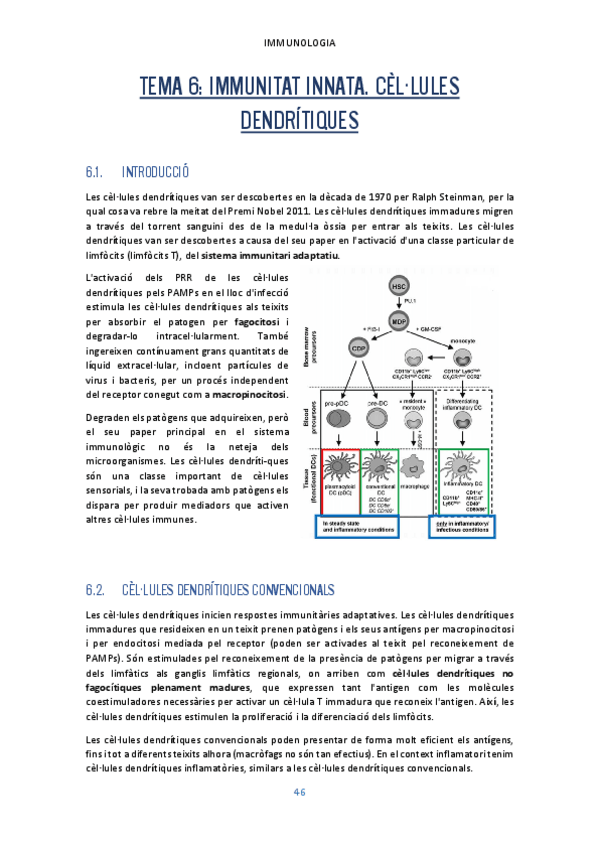 Miniatura del documento Tema-6.pdf