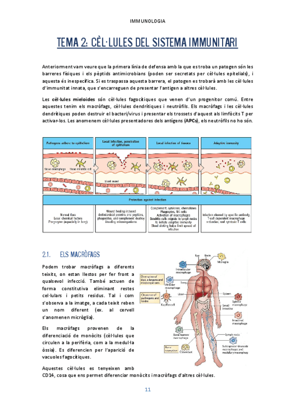 Miniatura del documento Tema-2.pdf