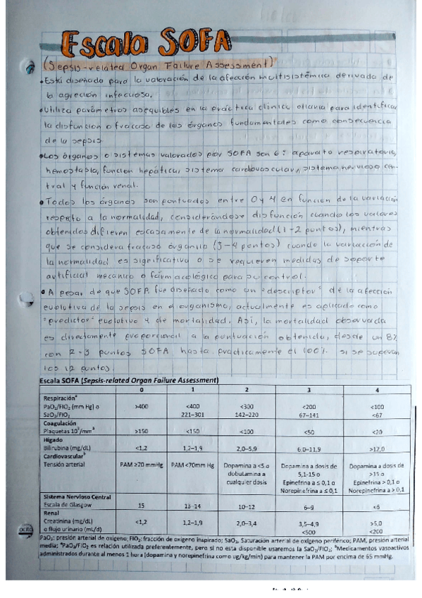 Miniatura del documento Escalas-de-UCI.pdf