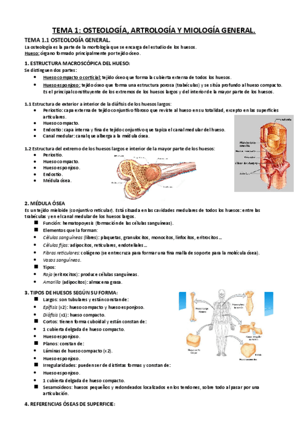Miniatura del documento 1.pdf