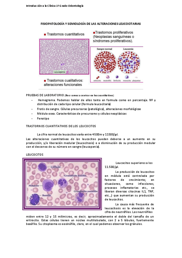 Miniatura del documento TEMA 10 CLINICA OK.pdf