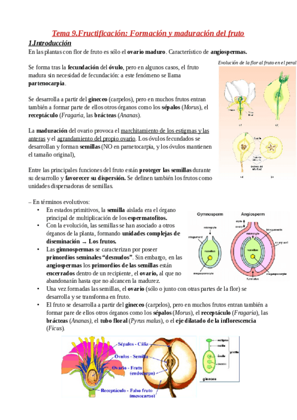 Miniatura del documento Tema-9.pdf