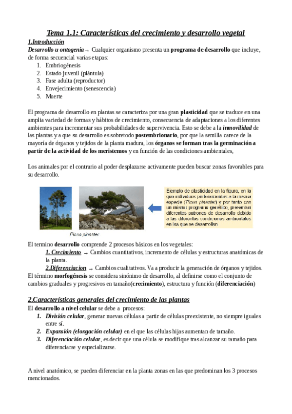 Miniatura del documento Tema-1.pdf
