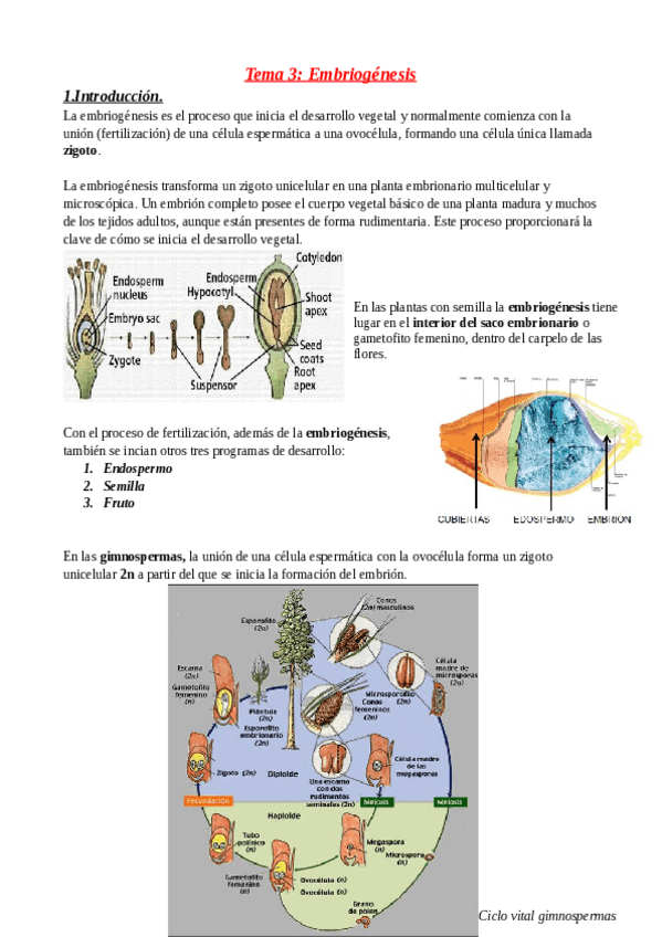 Miniatura del documento Tema-3.pdf