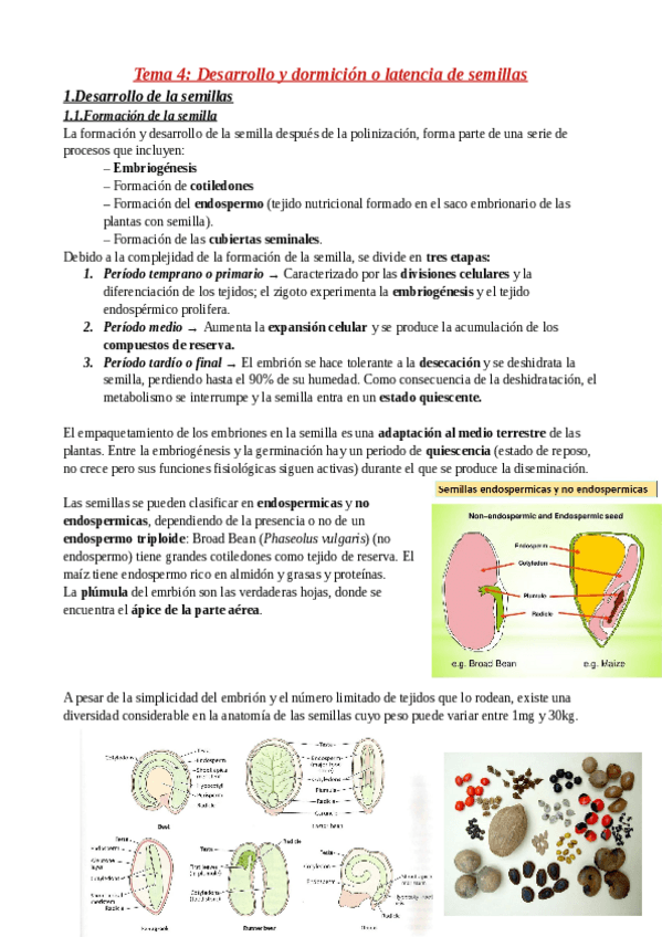 Miniatura del documento Tema-4.pdf