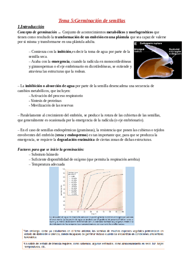 Miniatura del documento Tema-5.pdf