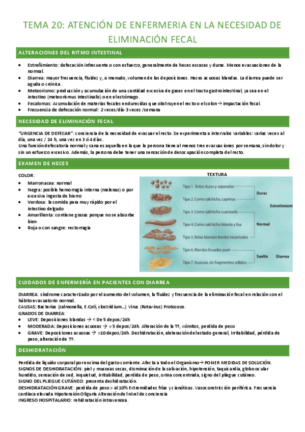 Miniatura del documento TEMA-20-completo.pdf