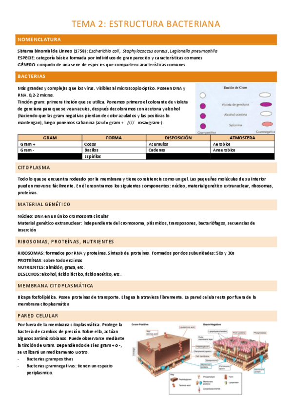 Miniatura del documento TEMA-2-COMPLETO.pdf