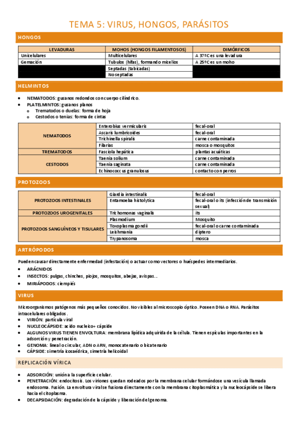 Miniatura del documento TEMA-5-COMPLETO.pdf