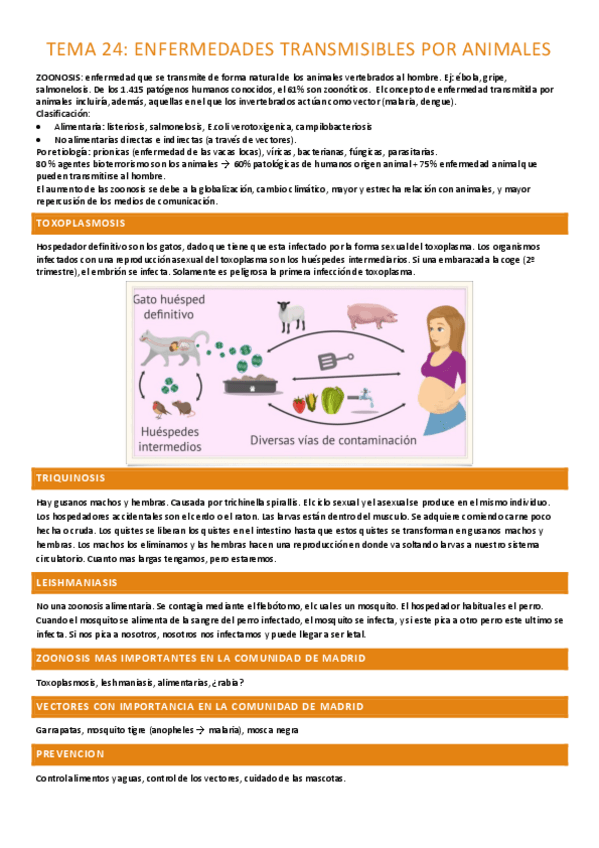 Miniatura del documento tema-24-completo.pdf