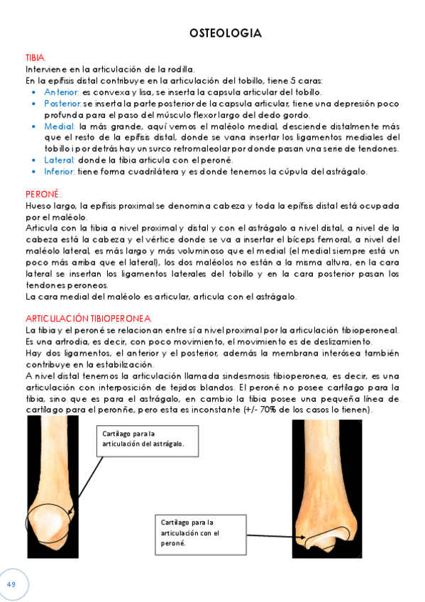Miniatura del documento A.pdf