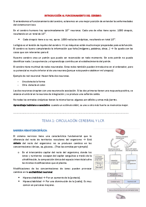 Miniatura del documento TEMA 1 neuro.pdf