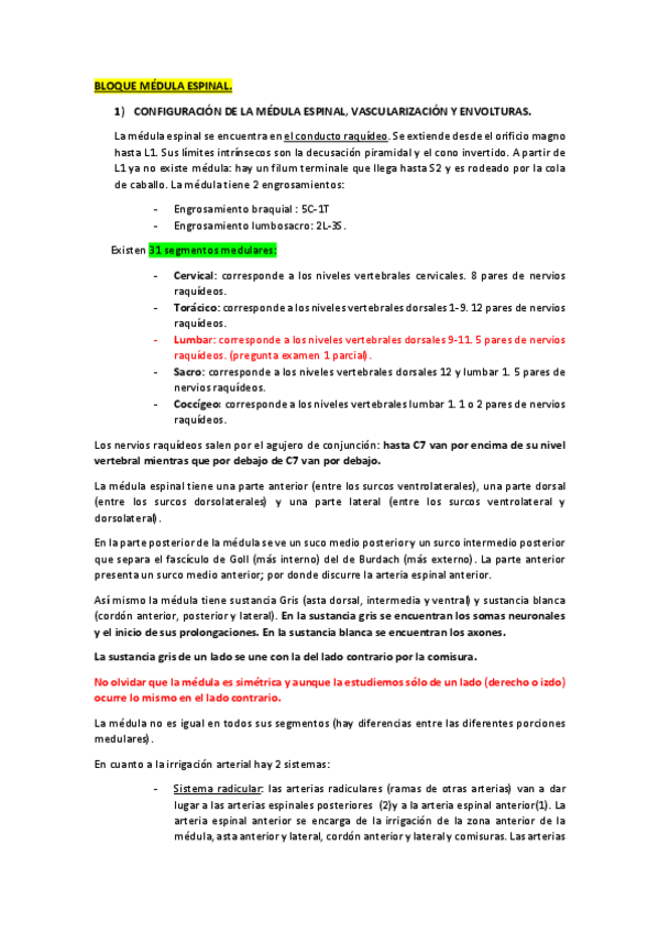 Miniatura del documento Resumenes-Neuroanatomia.pdf