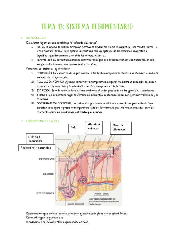 Miniatura del documento TEMA-13F.pdf