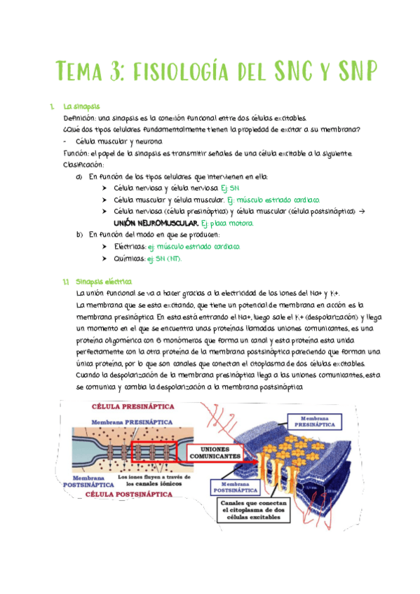 Miniatura del documento TEMA-3.pdf