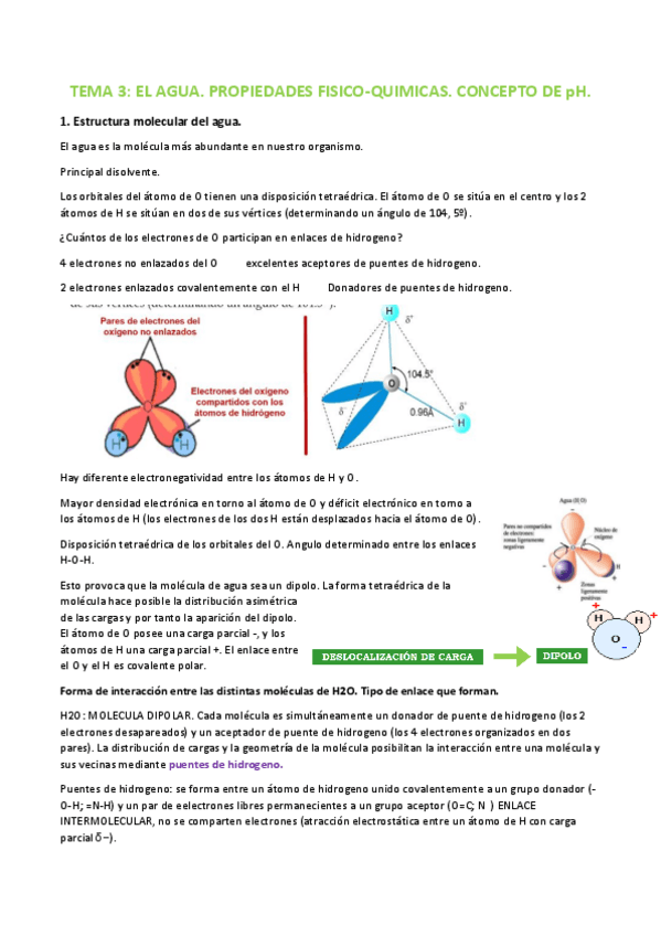 Miniatura del documento Tema-3-bioquimica.pdf
