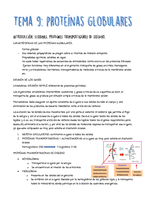 Miniatura del documento TEMA-9.pdf