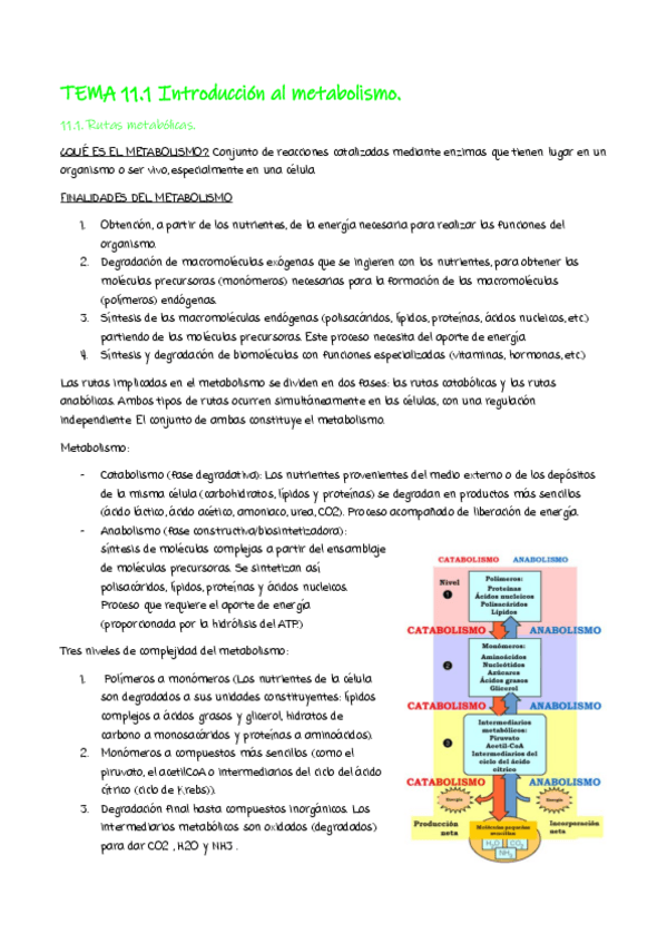 Miniatura del documento tema-11.pdf