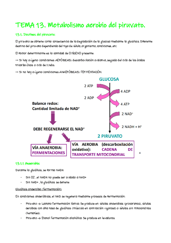 Miniatura del documento tema-13.pdf