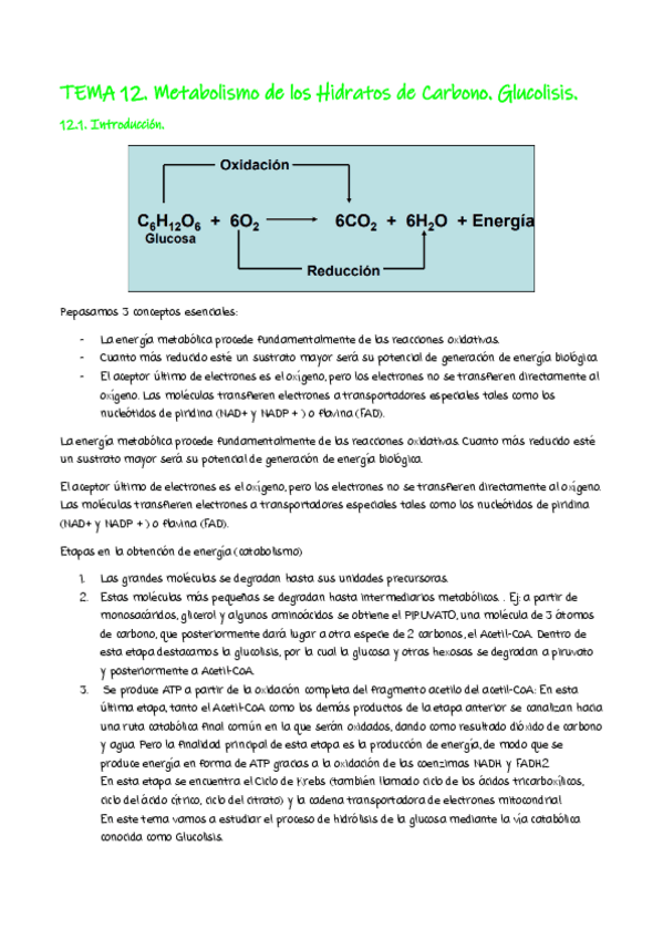 Miniatura del documento TEMA-12.pdf
