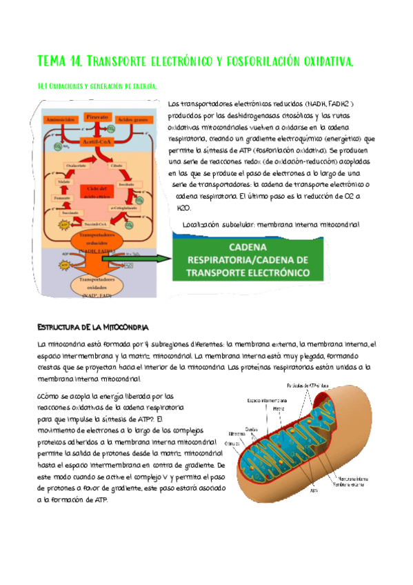 Miniatura del documento Tema-14.pdf