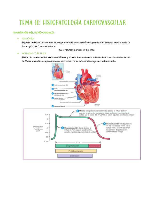 Miniatura del documento TEMA-10FP.pdf