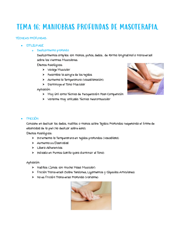 Miniatura del documento TEMA-16.pdf