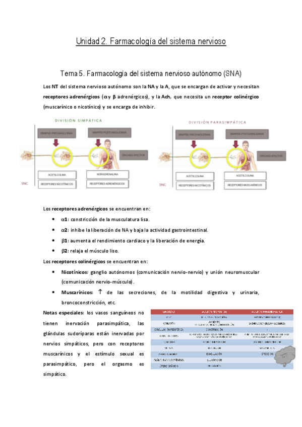 Miniatura del documento Unidad-2.pdf